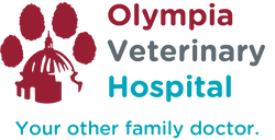 Olympia Veterinary Hospital