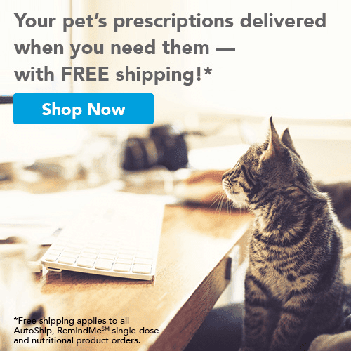 Your pet's prescriptions delivered when you need them with free shipping.